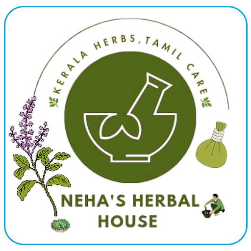 software development